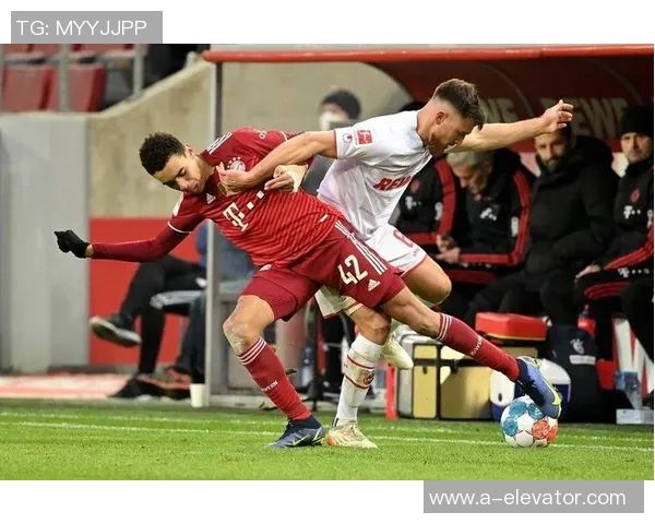 恒大与拜仁阵容对比分析揭示两队实力差异与战术特点